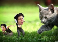 /album/eres-fan-de-elrubiusomg-%28%e2%97%91-%e2%97%91%29-/bl666lucmaah7fe-jpg/